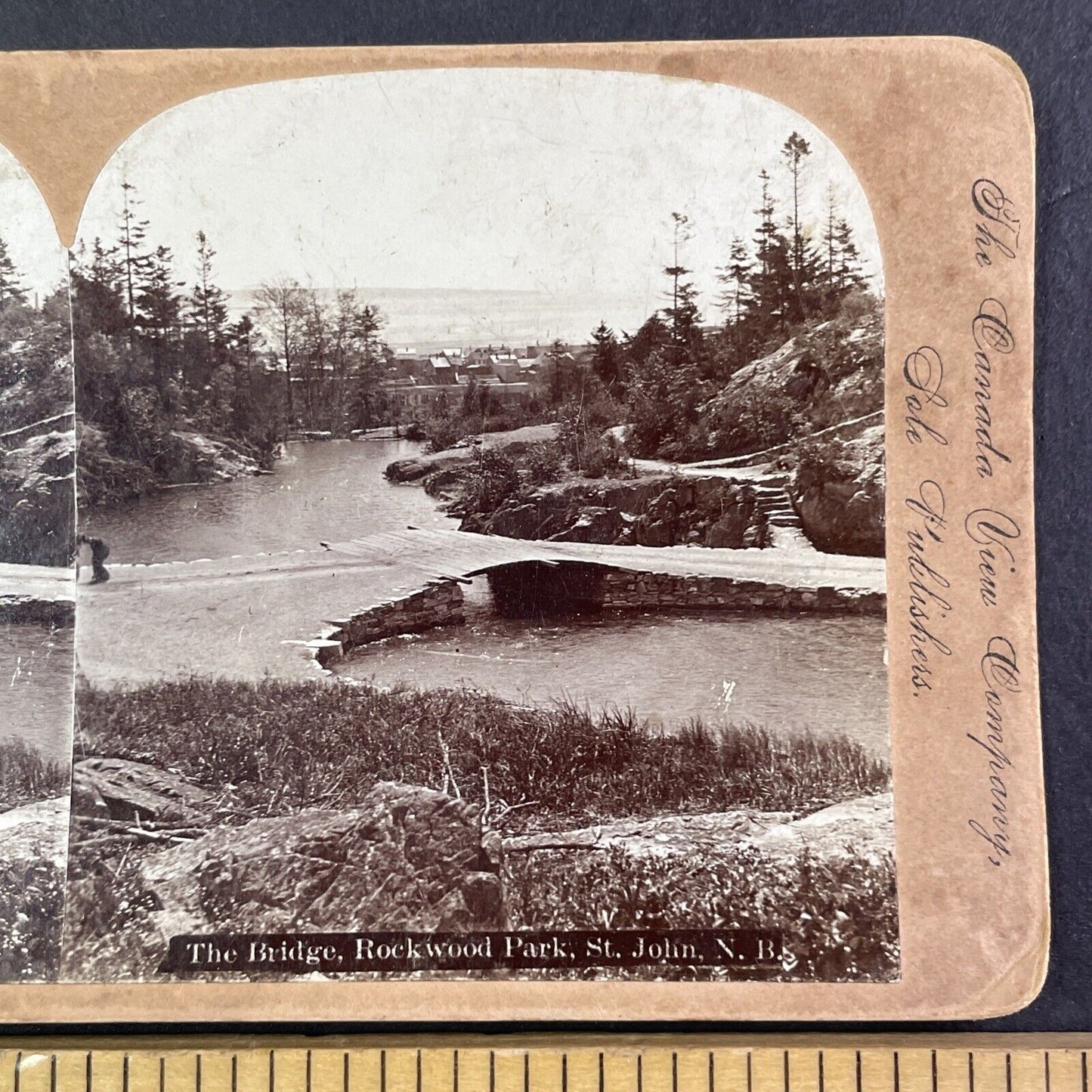 Rockwood Park Bridge Saint John New Brunswick Stereoview Antique c1890s Y1385