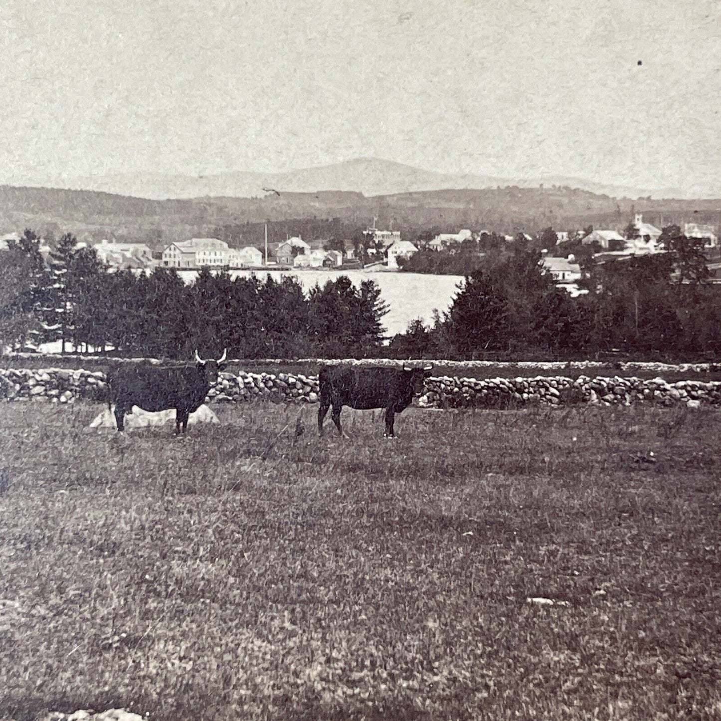 Wolfeboro New Hampshire Stereoview Clarks Point ET Brigham Antique c1870 X919