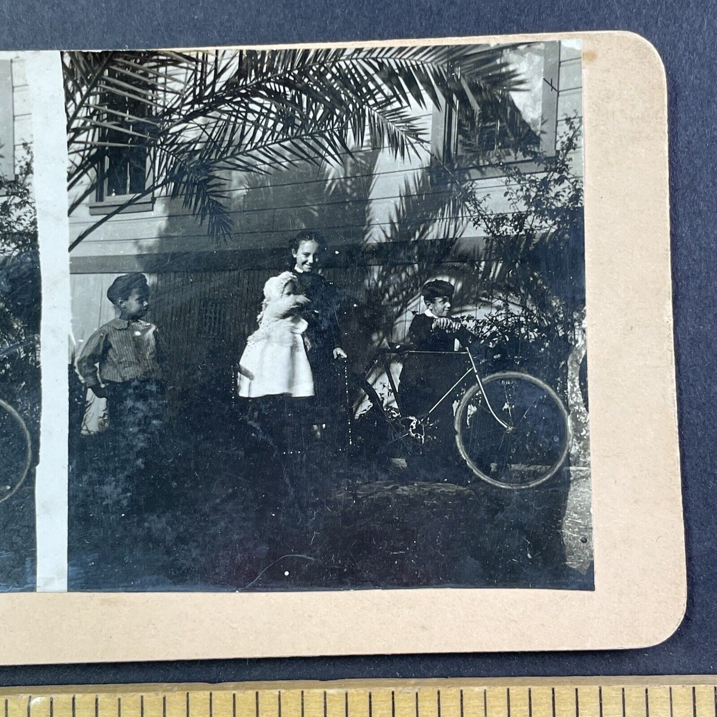 Children Receive New Bicycle Florida Stereoview Celluloid Antique c1905 Y165