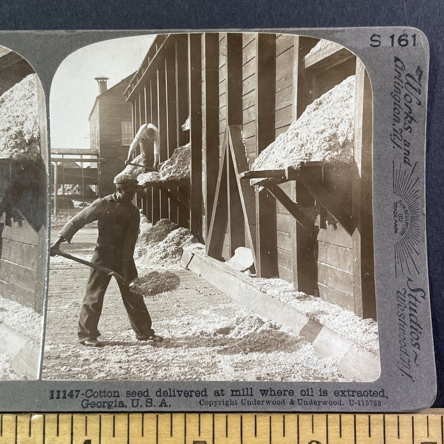 Teenage Cotton Mill Worker Shovels Seed Stereoview Georgia Antique c1909 X2609