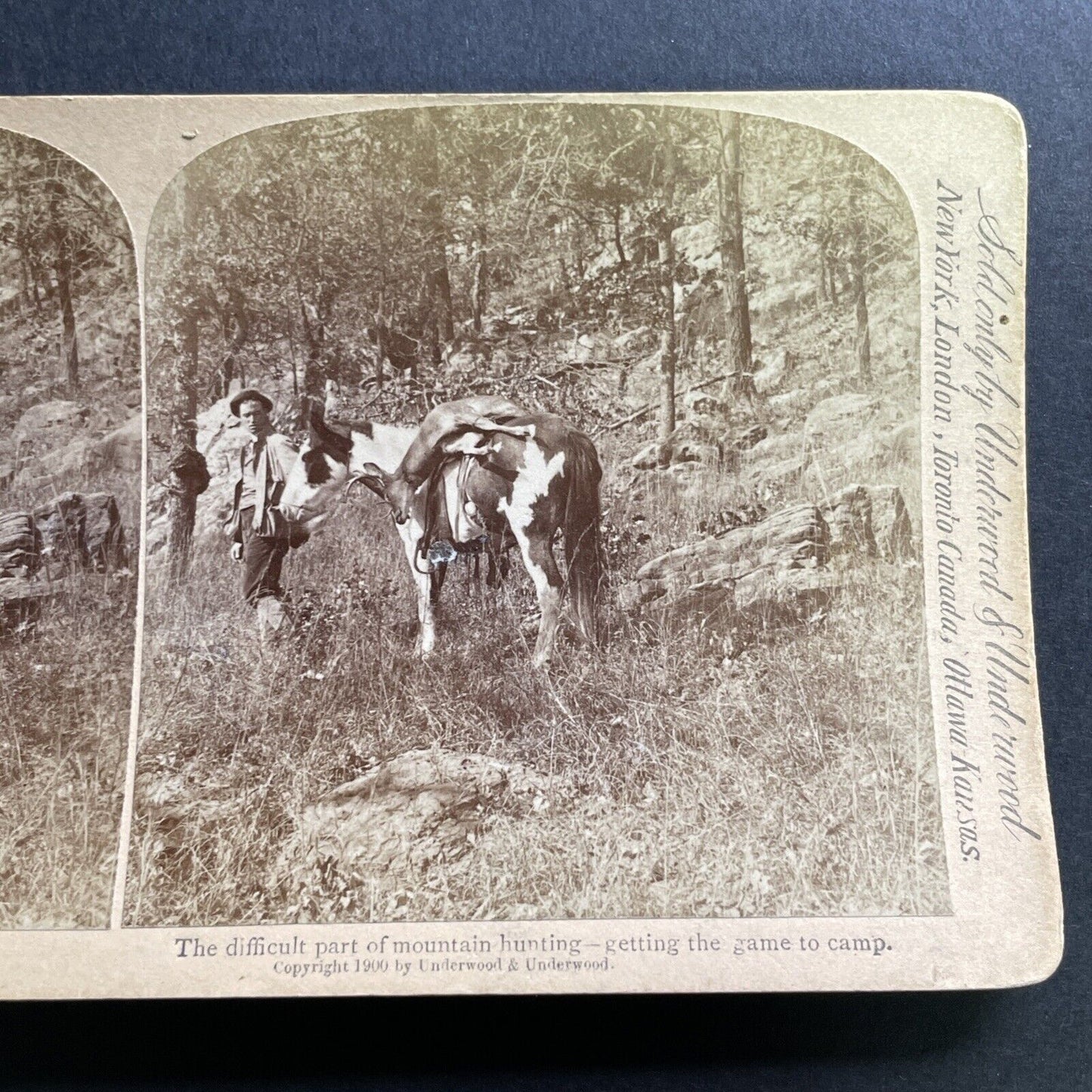 Antique 1900 Deer Hunting In The Swiss Alps Stereoview Photo Card P1567