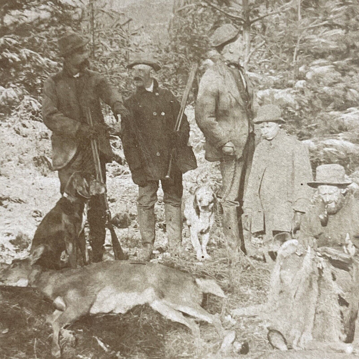 Antique 1888 Hunters Show Off Dead Deer Kills Stereoview Photo Card P4622