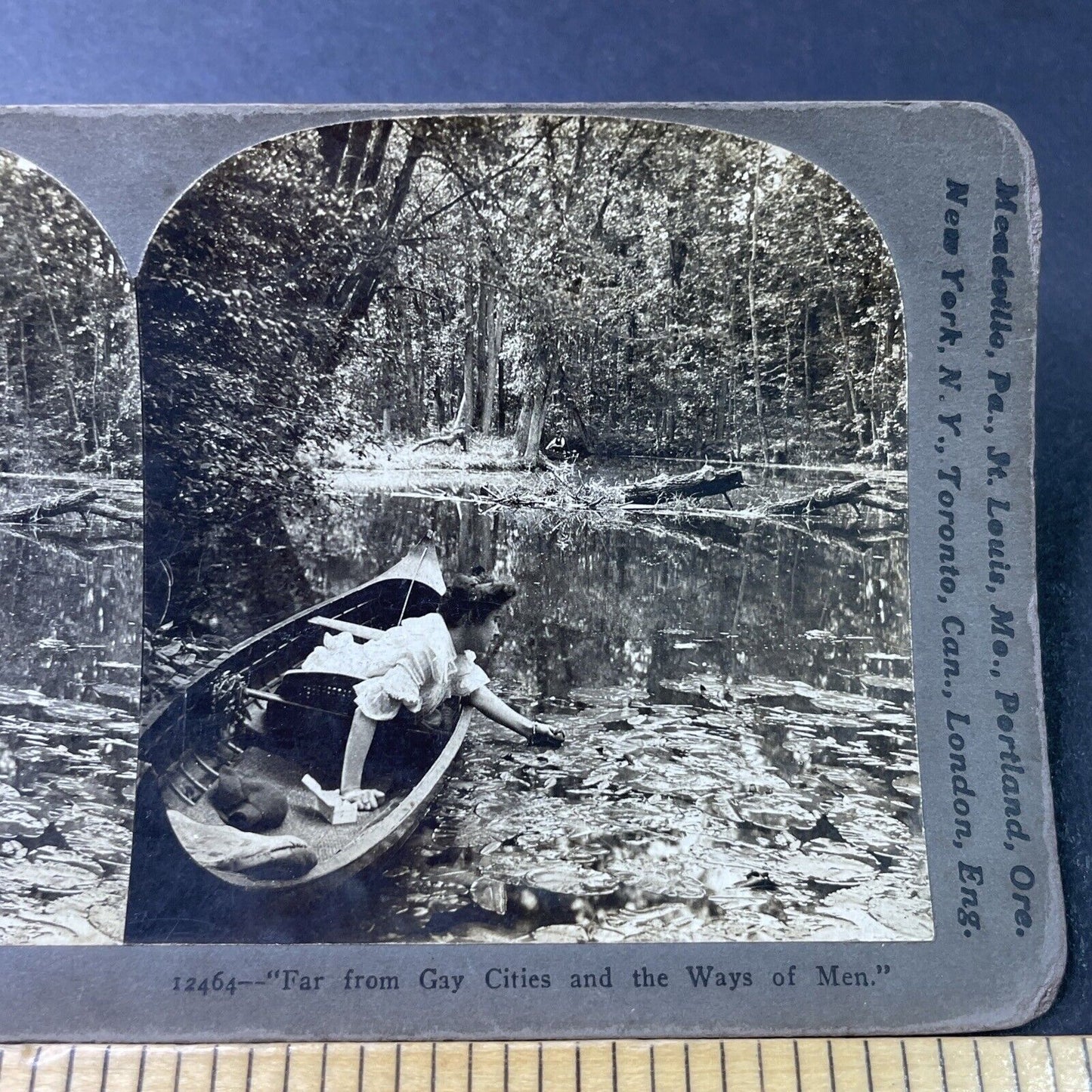 Antique 1902 Woman Catches Frog In Pond From Canoe Stereoview Photo Card P2998