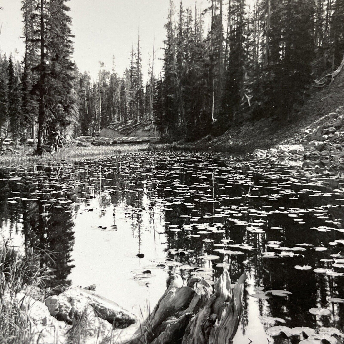 Antique 1910s Isa Lake Yellowstone Park Wyoming Stereoview Photo Card V2177