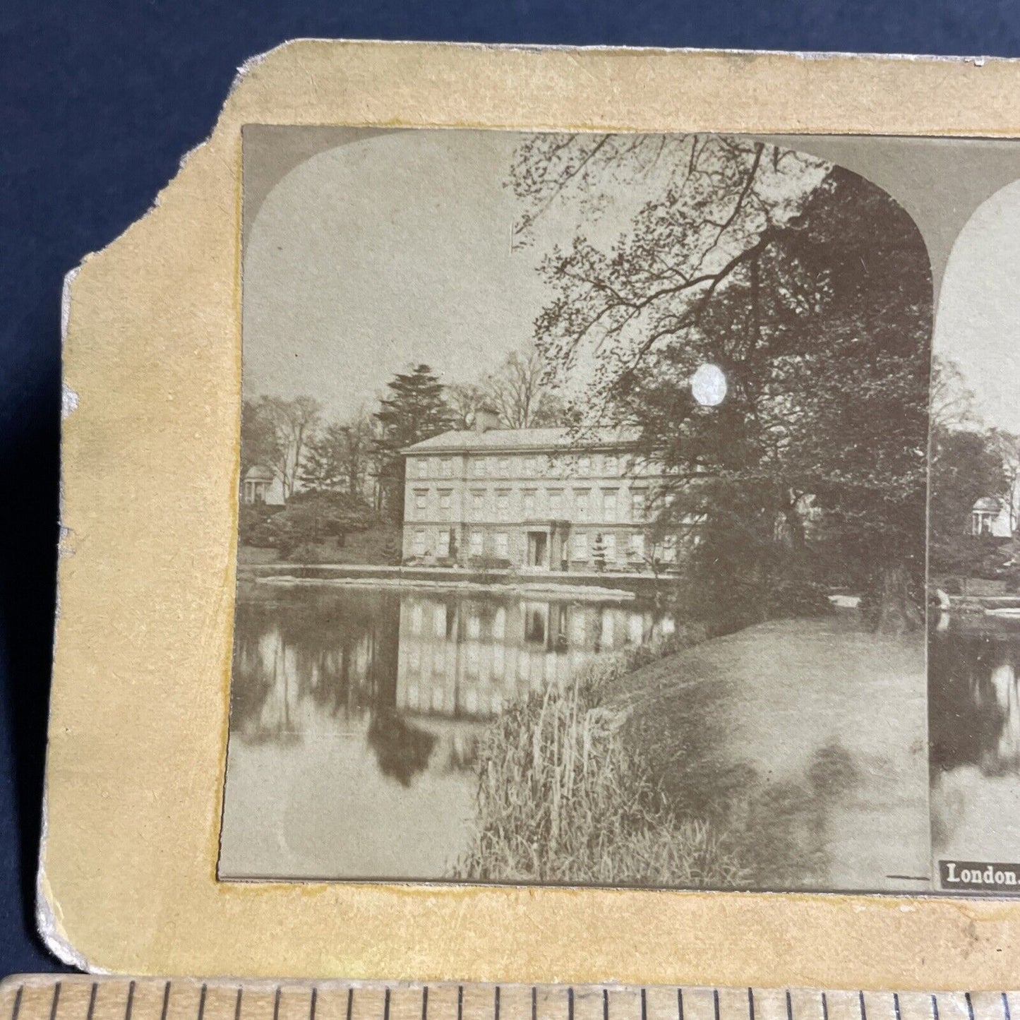 Antique 1870s London Museum In Kew Gardens Stereoview Photo Card P4550