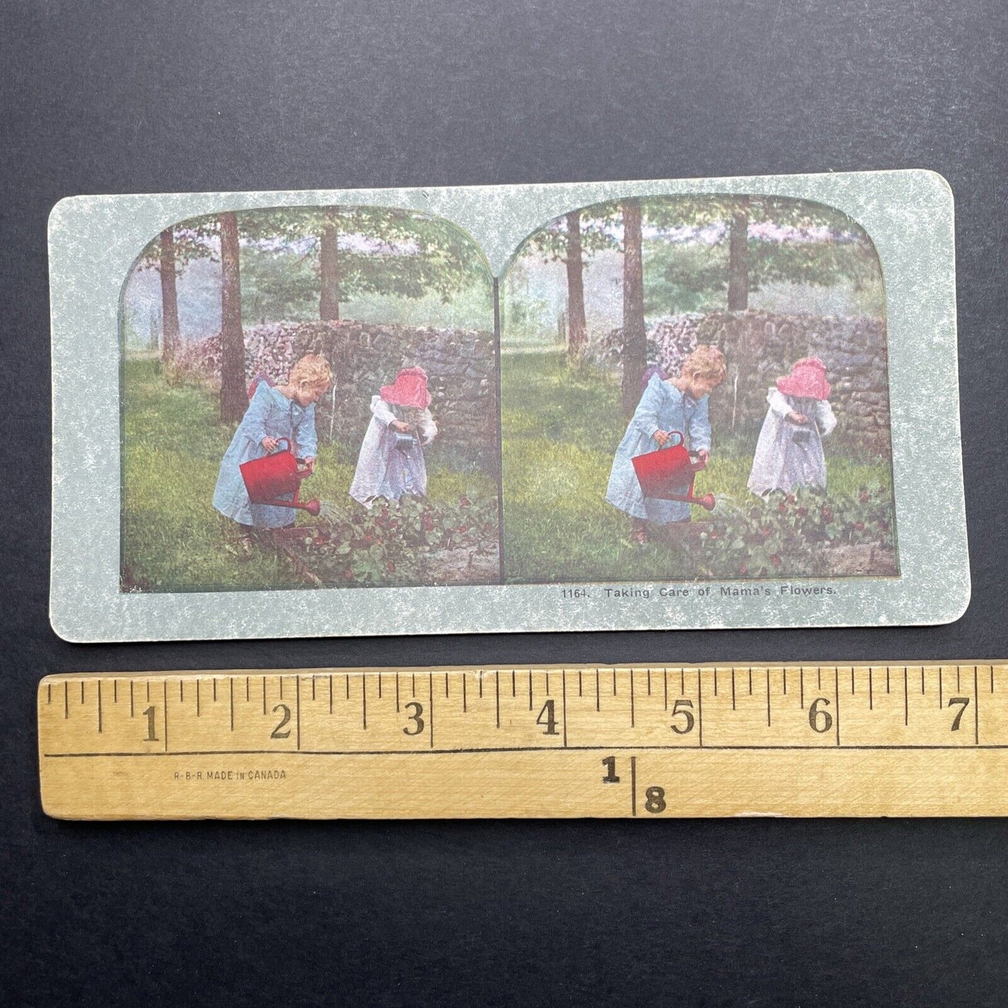 Antique 1898 Children Gardening Watering Flowers Stereoview Photo Card P580-013