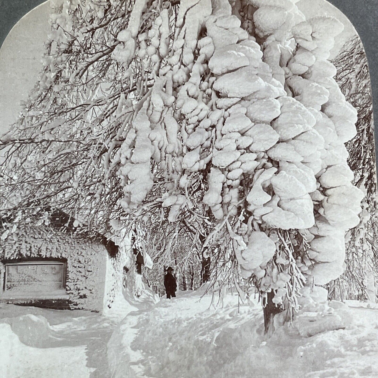 Huge Snowstorm Niagara Falls New York Stereoview Antique c1902 Y3003