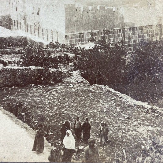 Antique 1899 Cave Of The Patriarchs Hebron West Bank Stereoview Photo Card P4202