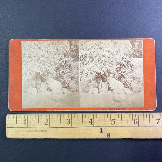 Luna Island Niagara Falls New York Stereoview J.G. Parks Antique c1870 Y1732