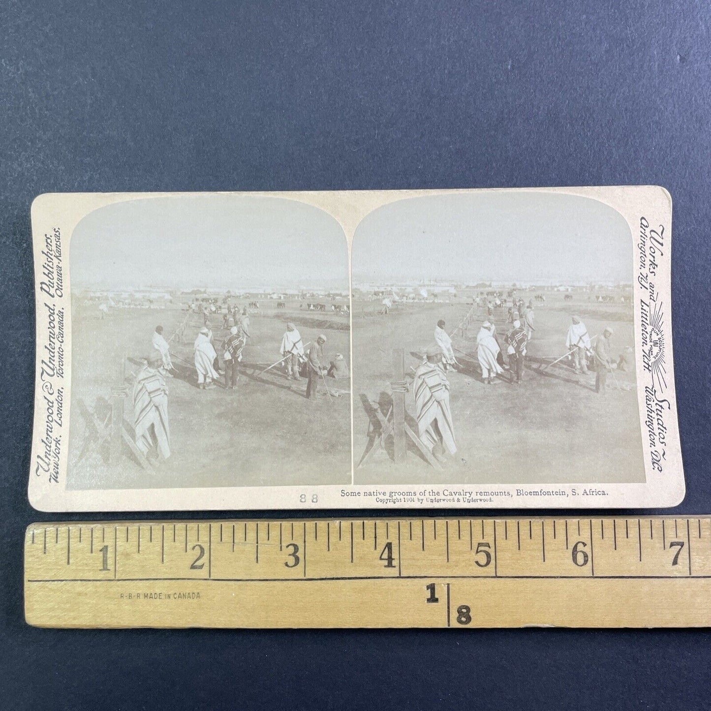 South Africa Men Prepare The Cavalry Stereoview Boer War Bloemfontein c1901 Y162