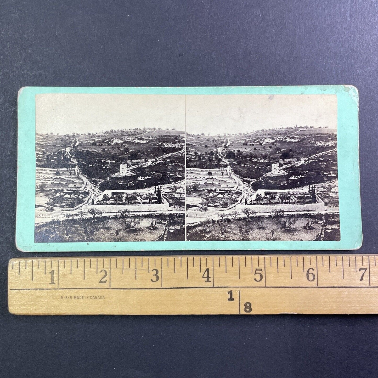 Garden of Gethsemane Israel Palestine Stereoview Salt Print c1860 Y455