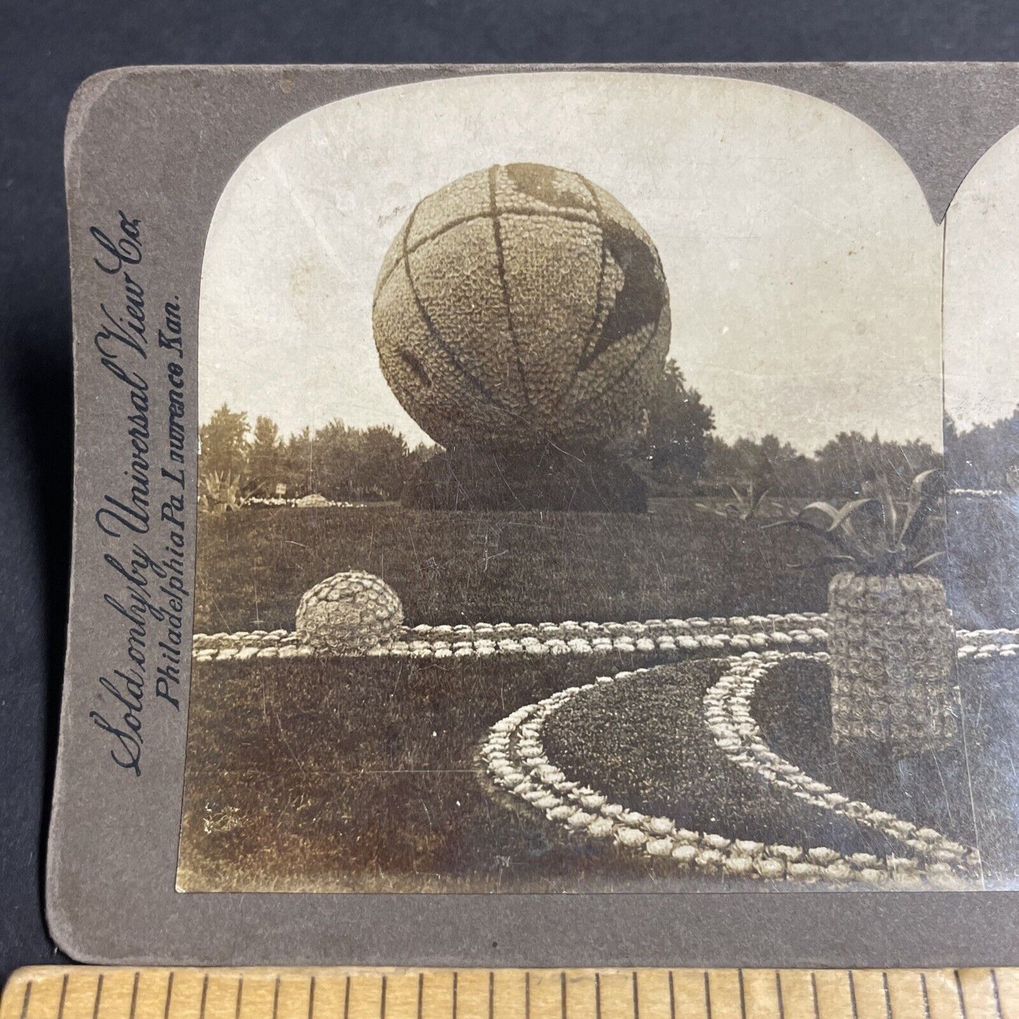 Antique 1900 Massive Flower Globe Chicago Illinois Stereoview Photo Card P4840