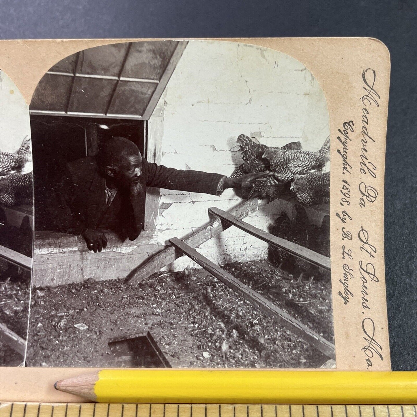 Antique 1898 Farmer Grabs A Chicken Through A Window Stereoview Photo Card P3982