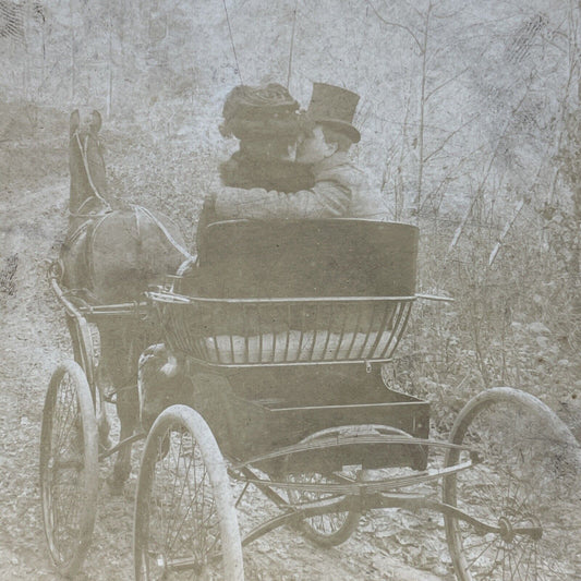 Antique 1901 Man Romances Woman On A Carriage Stereoview Photo Card P2585