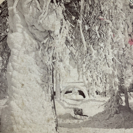 Antique 1889 Heavy Snowstorn Prospect Point Niagara Stereoview Photo Card P5053