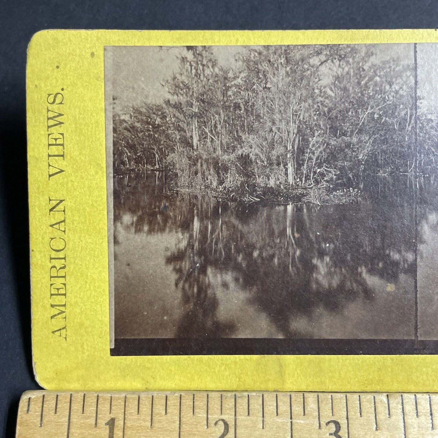 Antique 1870s Ocklawaha River Swamp Florida Stereoview Photo Card P4775