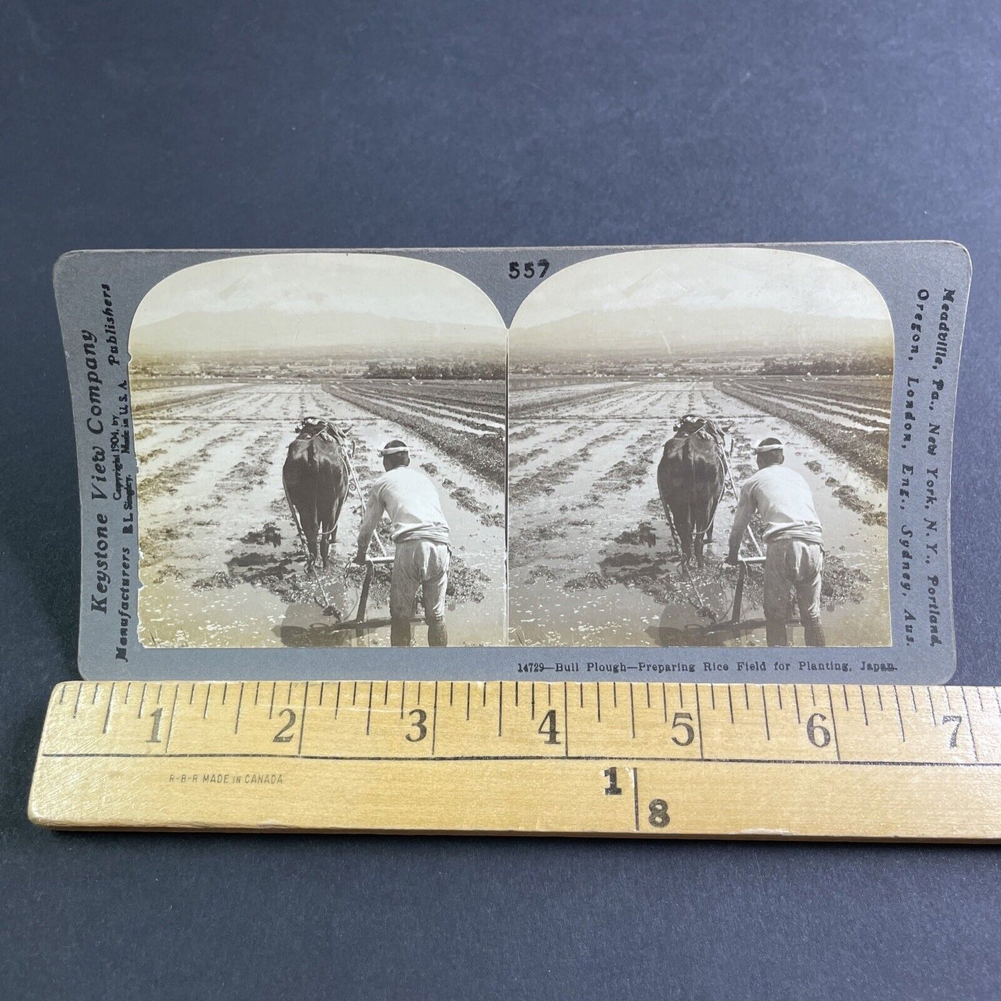 Antique 1904 Hand Plowing Rice Fields In Japan Stereoview Photo Card P2181