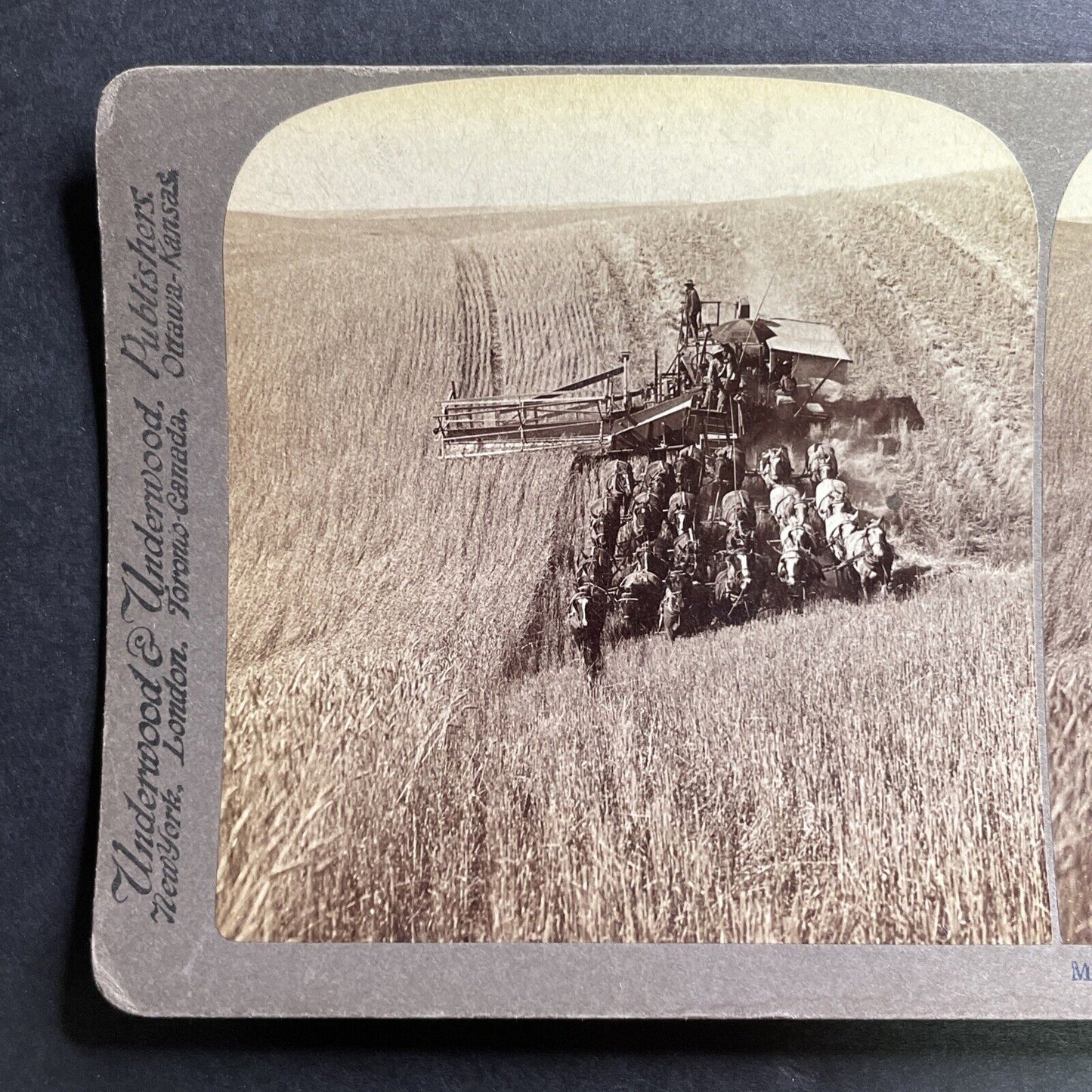 Antique 1902 Hay Combine Walla Walla Washington Stereoview Photo Card P1503