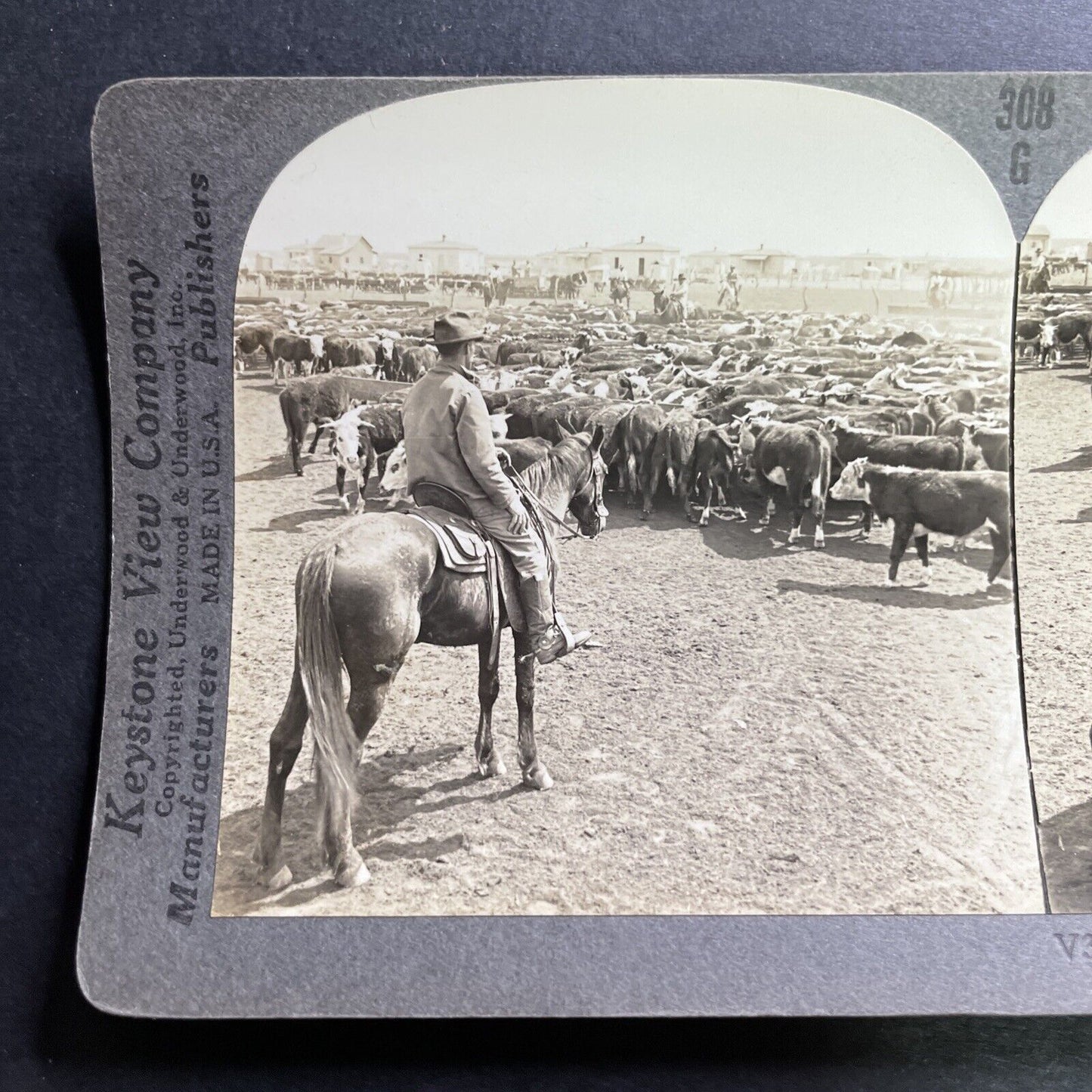 Antique 1918 Cowboys Herd Cattle In West Texas Stereoview Photo Card P1491