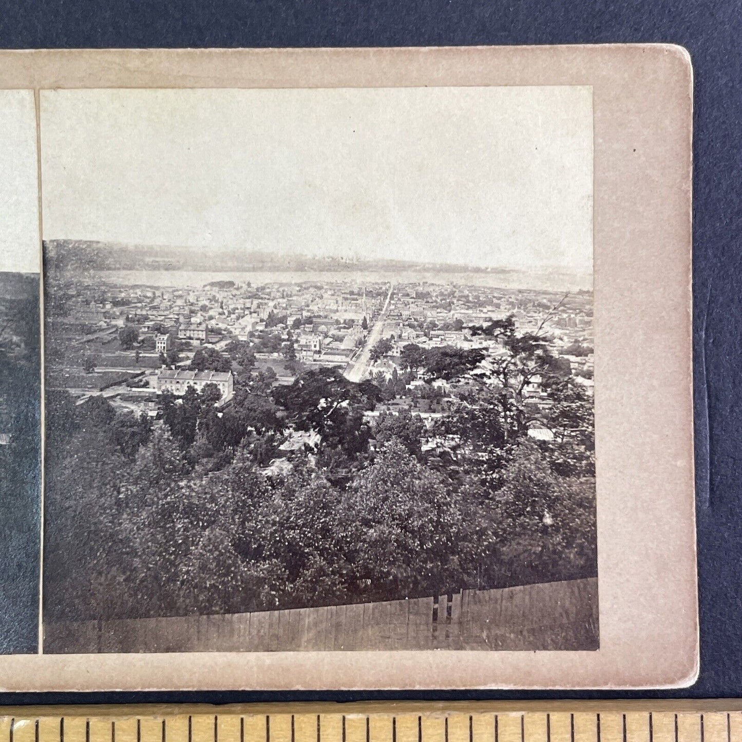 Hamilton Ontario From Escarpment Line Stereoview City View Antique c1860s X4181