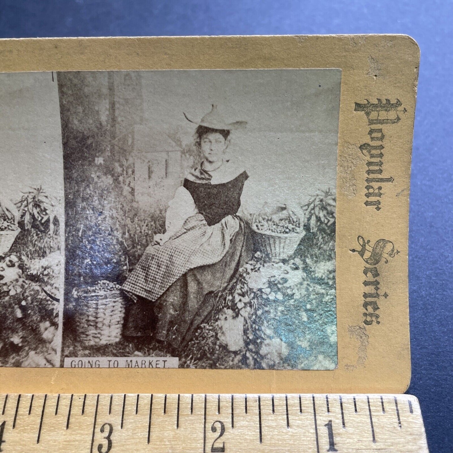 Antique 1860s English Peasant Girl At Harvest Stereoview Photo Card P2093