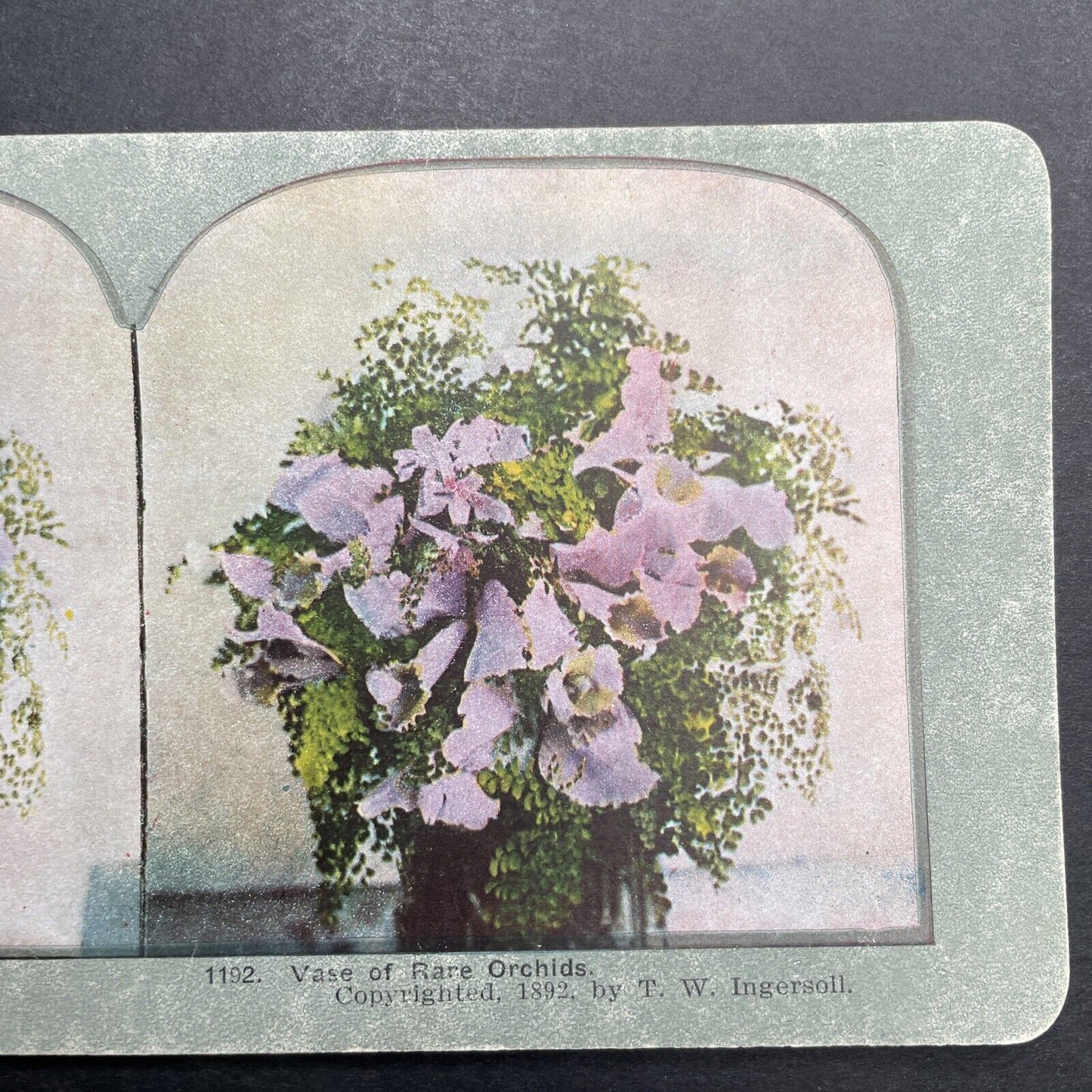 Antique 1892 Bouquet Of Rare Orchids Stereoview Photo Card P1221