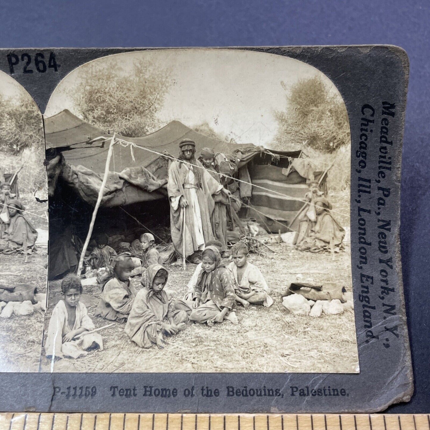 Antique 1909 Bedouin Nomads In Palestine Stereoview Photo Card V3319