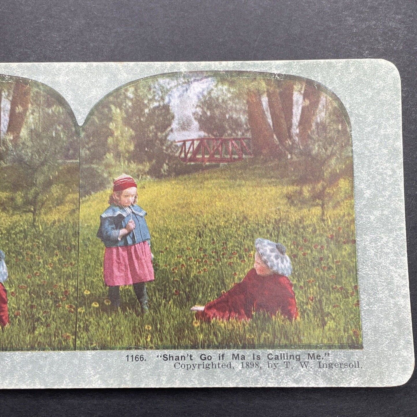 Antique 1898 Children Playing In The Grass Stereoview Photo Card P580-005