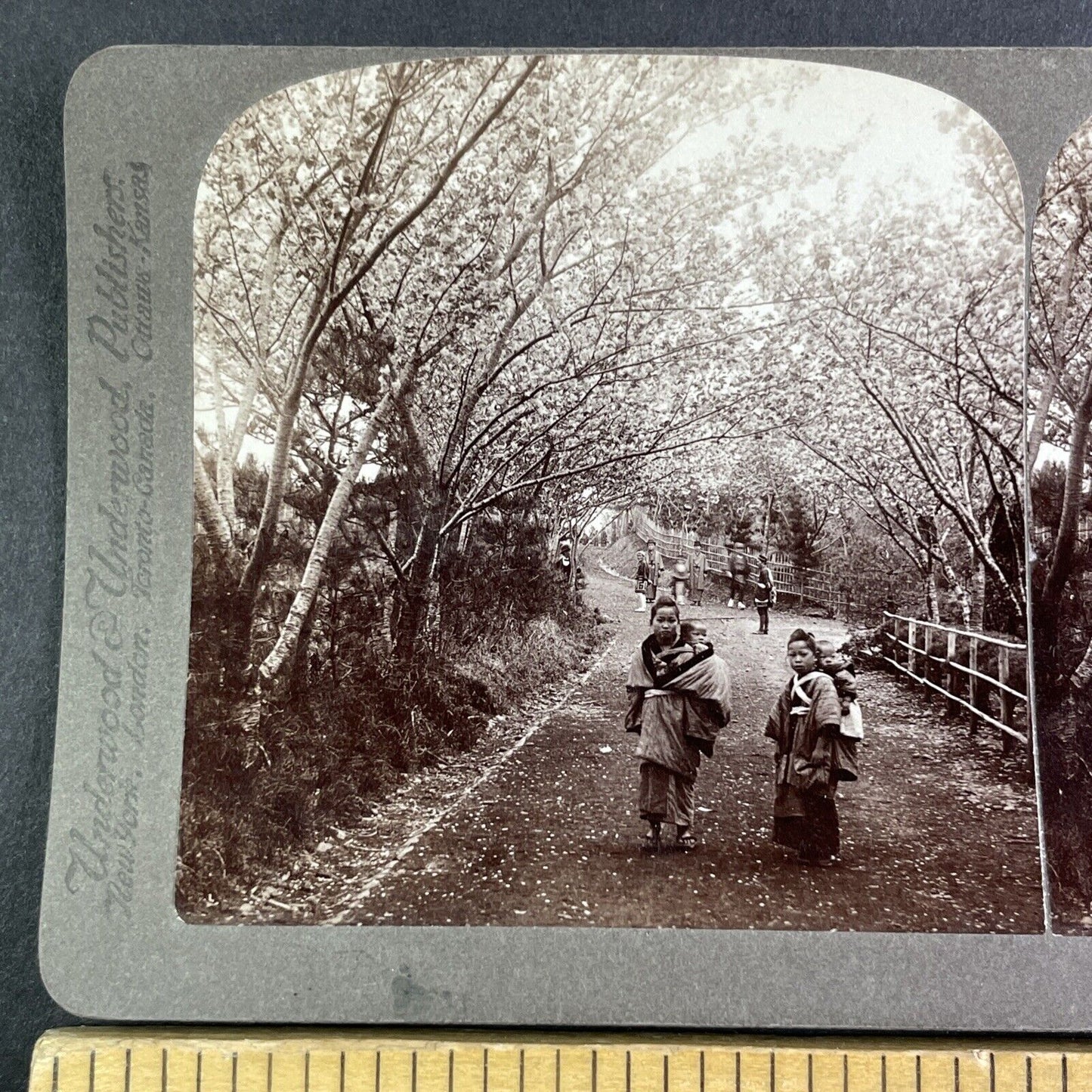 Young Mothers in Japan Stereoview Strohmeyer Antique c1896 Y2589