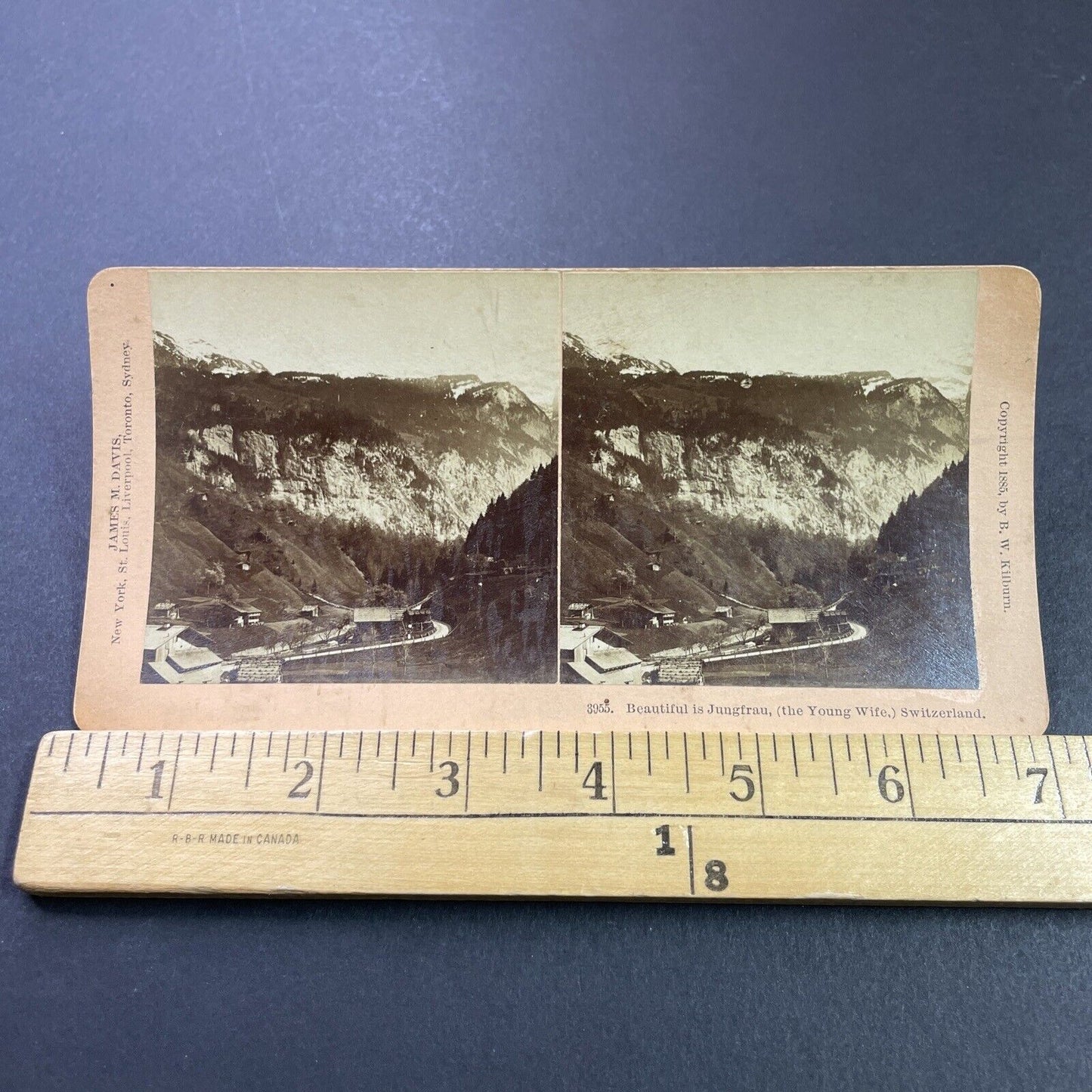 Antique 1885 Jungfrau Mountain Switzerland Swiss Alp Stereoview Photo Card P3933