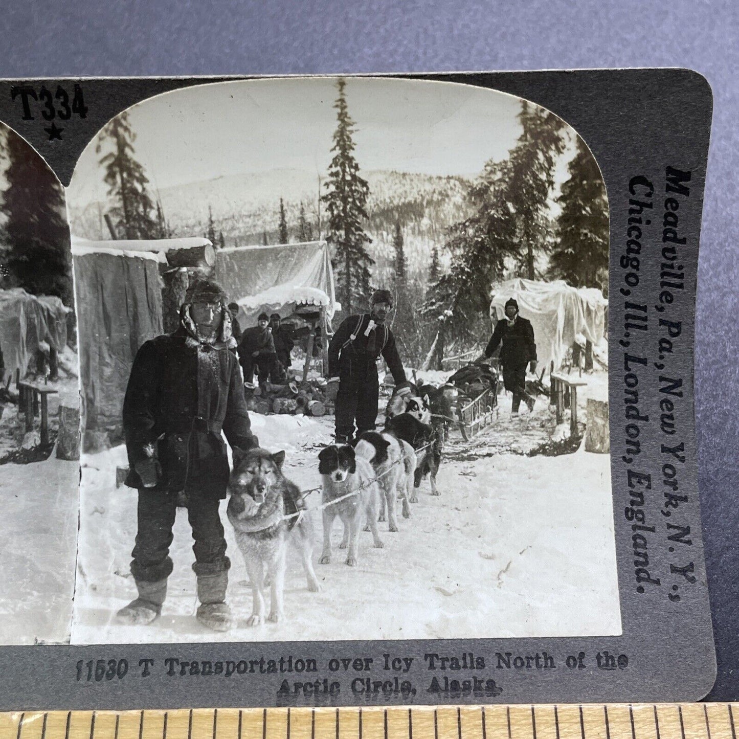 Antique 1909 Dog Sledding Sled In Northern Alaska Stereoview Photo Card V2885