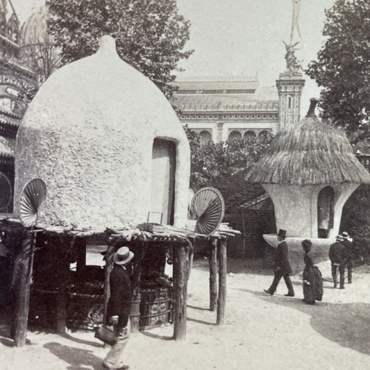 Antique 1889 Colonialism Exhibit Paris France Stereoview Photo Card P3829