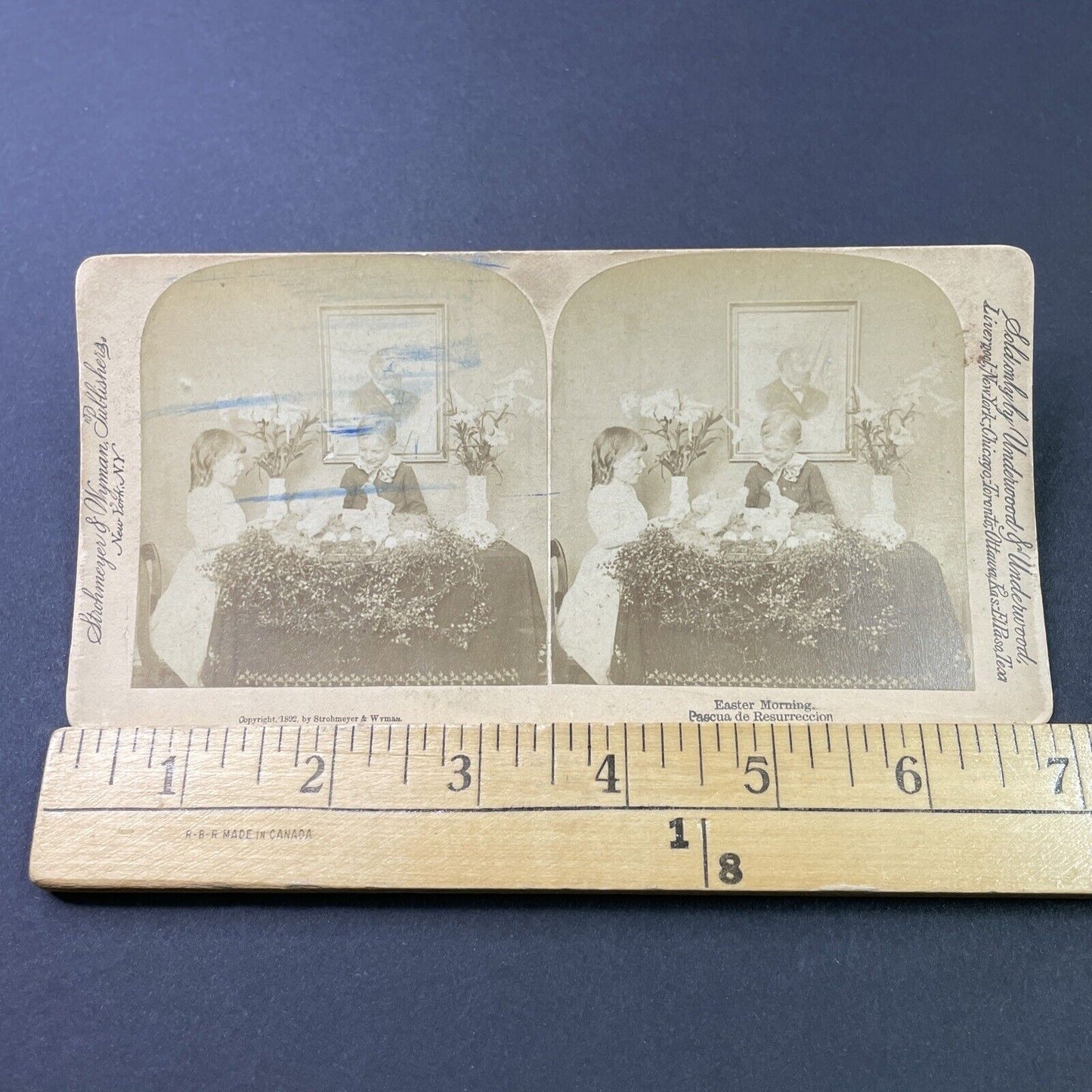 Antique 1892 Children Play With Chicks On Easter Stereoview Photo Card P2938