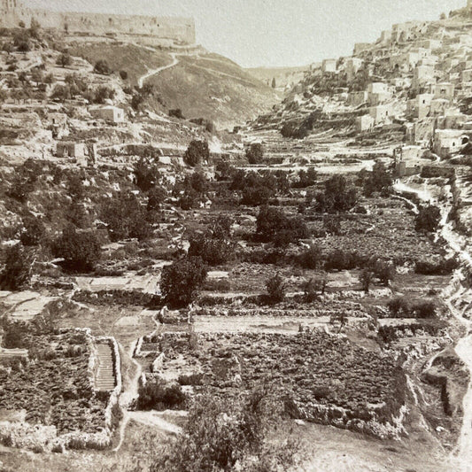 Antique 1900 Village Of Silwan Israel Palestine Stereoview Photo Card P1378