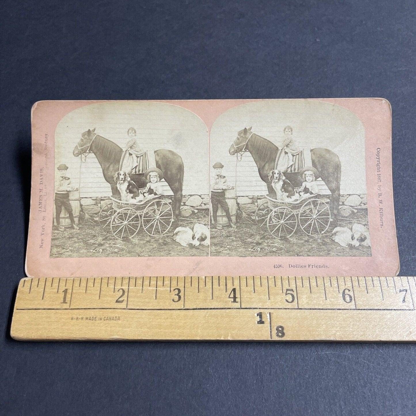 Antique 1887 Children & Dogs With Horse & Buggy Stereoview Photo Card P4712