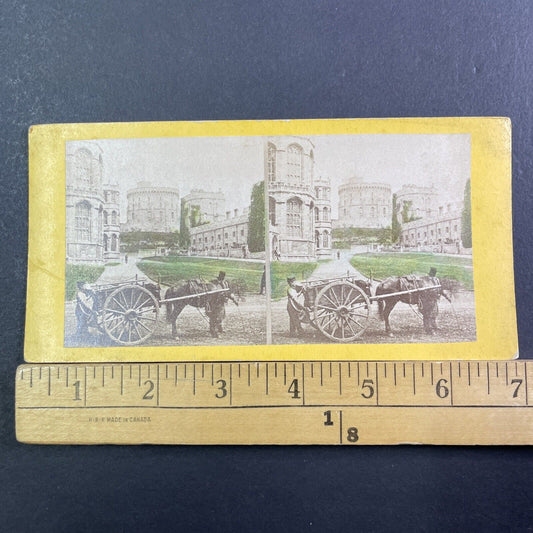 Boy Picking Garbage & Manure Windsor Castle UK Stereoview Antique c1870 X3558