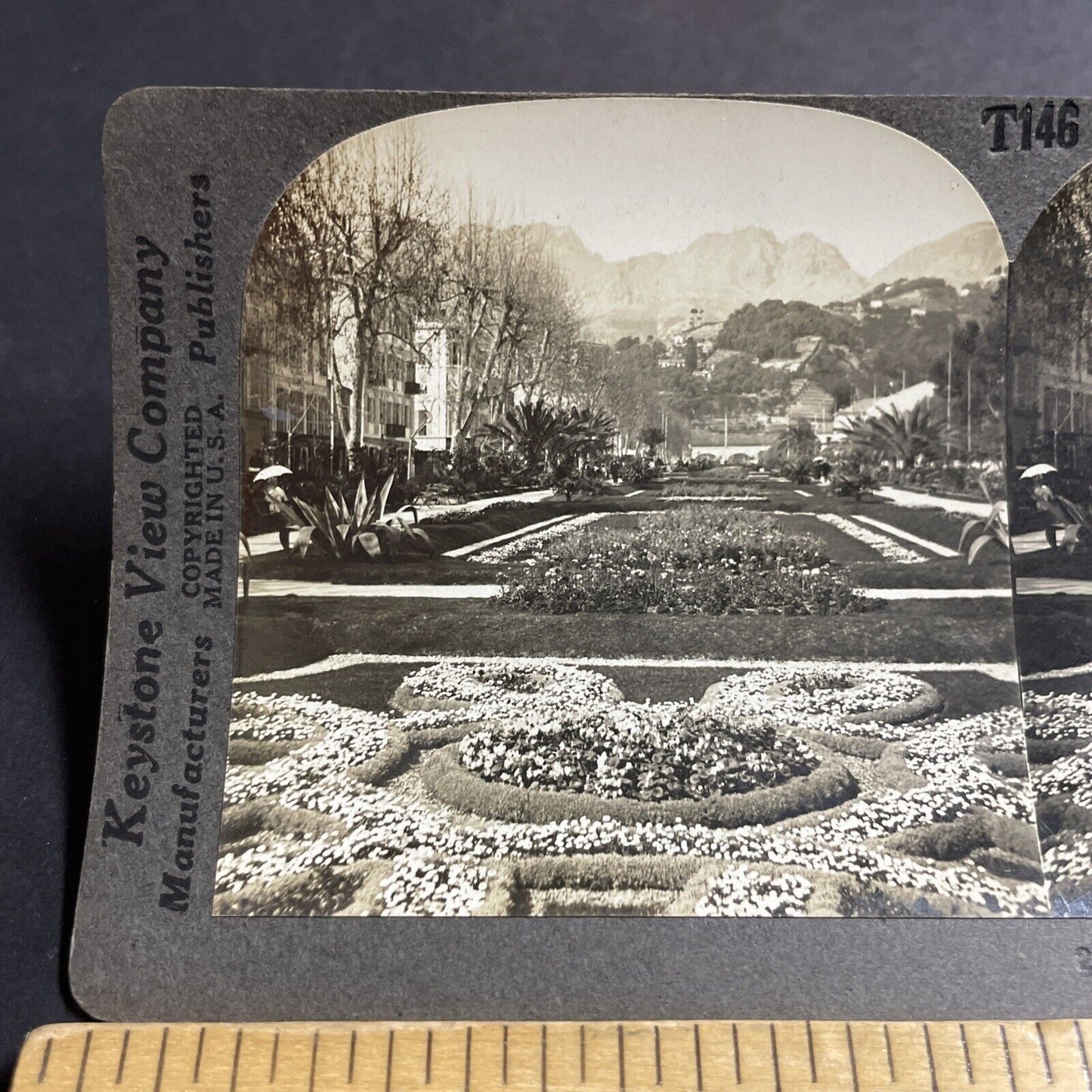 Antique 1910s Gardens Of Menton Nice France  Stereoview Photo Card P5523