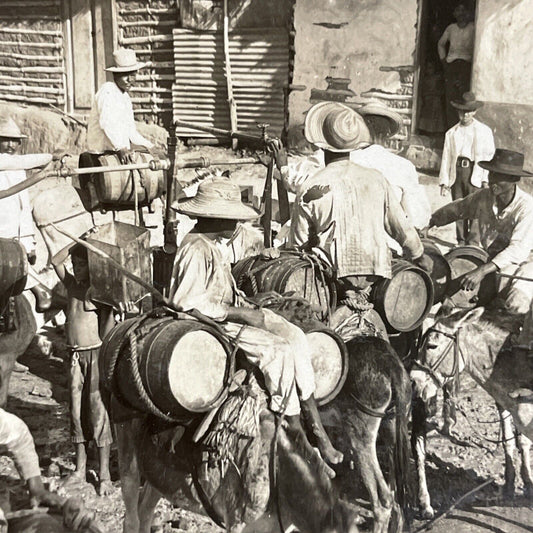 Antique 1910s Donkeys Hauling Water In Colombia Stereoview Photo Card P4499