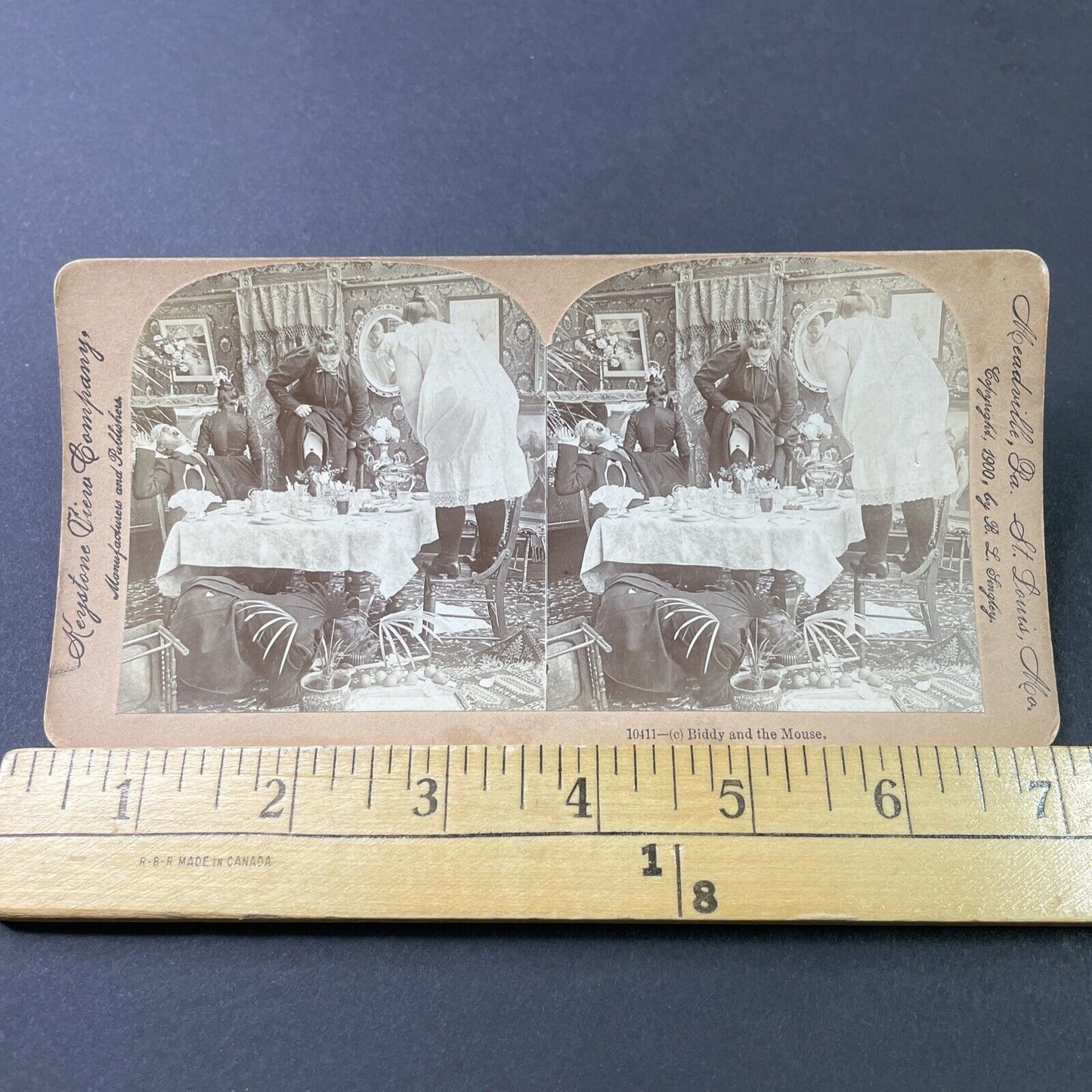 Antique 1900 Women In Terror Over Mouse Stereoview Photo Card P2857