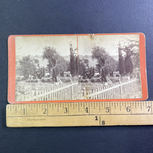 Gethsemane Jerusalem Garden Of Olives Stereoview Antique c1865 X1621