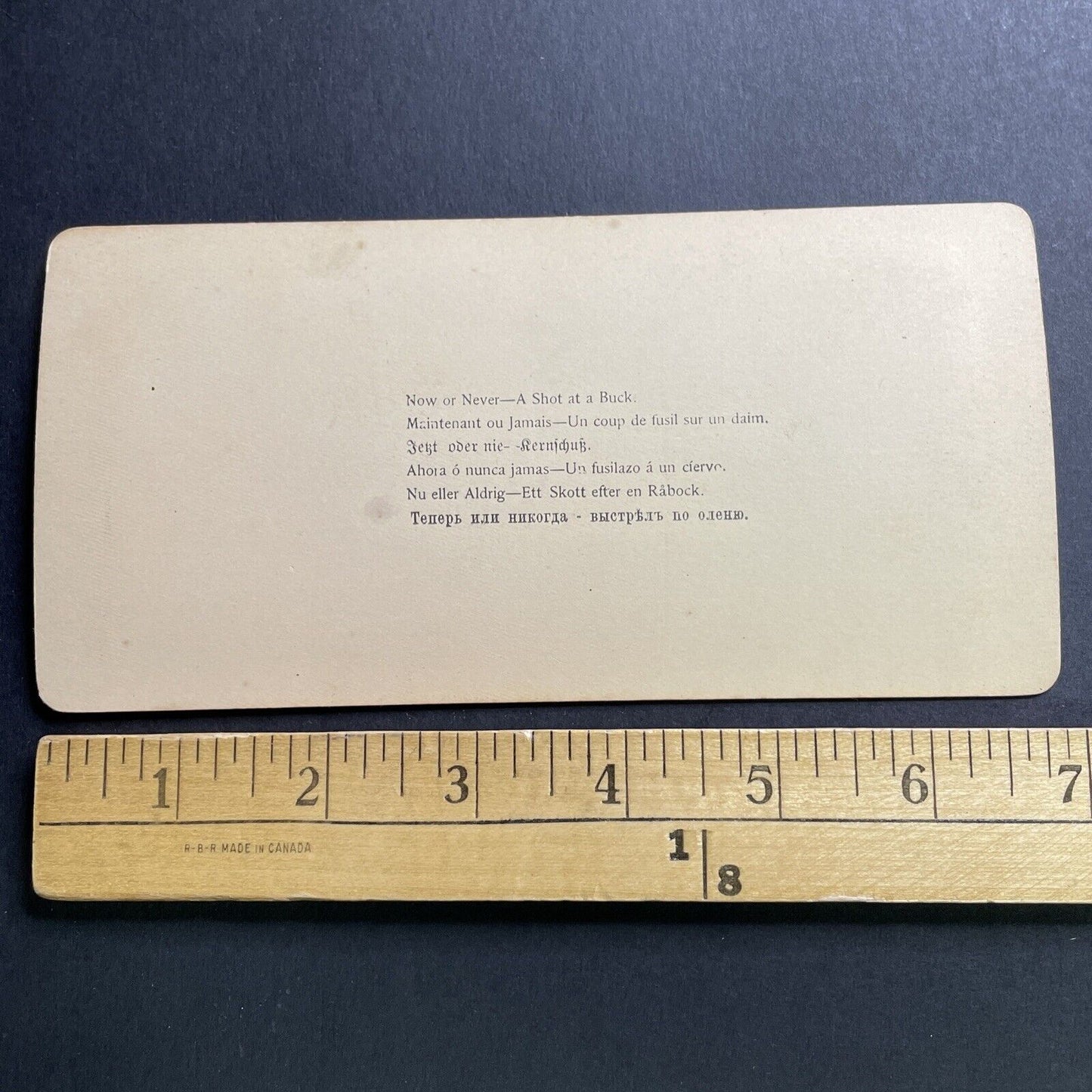 Antique 1893 Deer Hunting In New Hampshire Stereoview Photo Card P1656