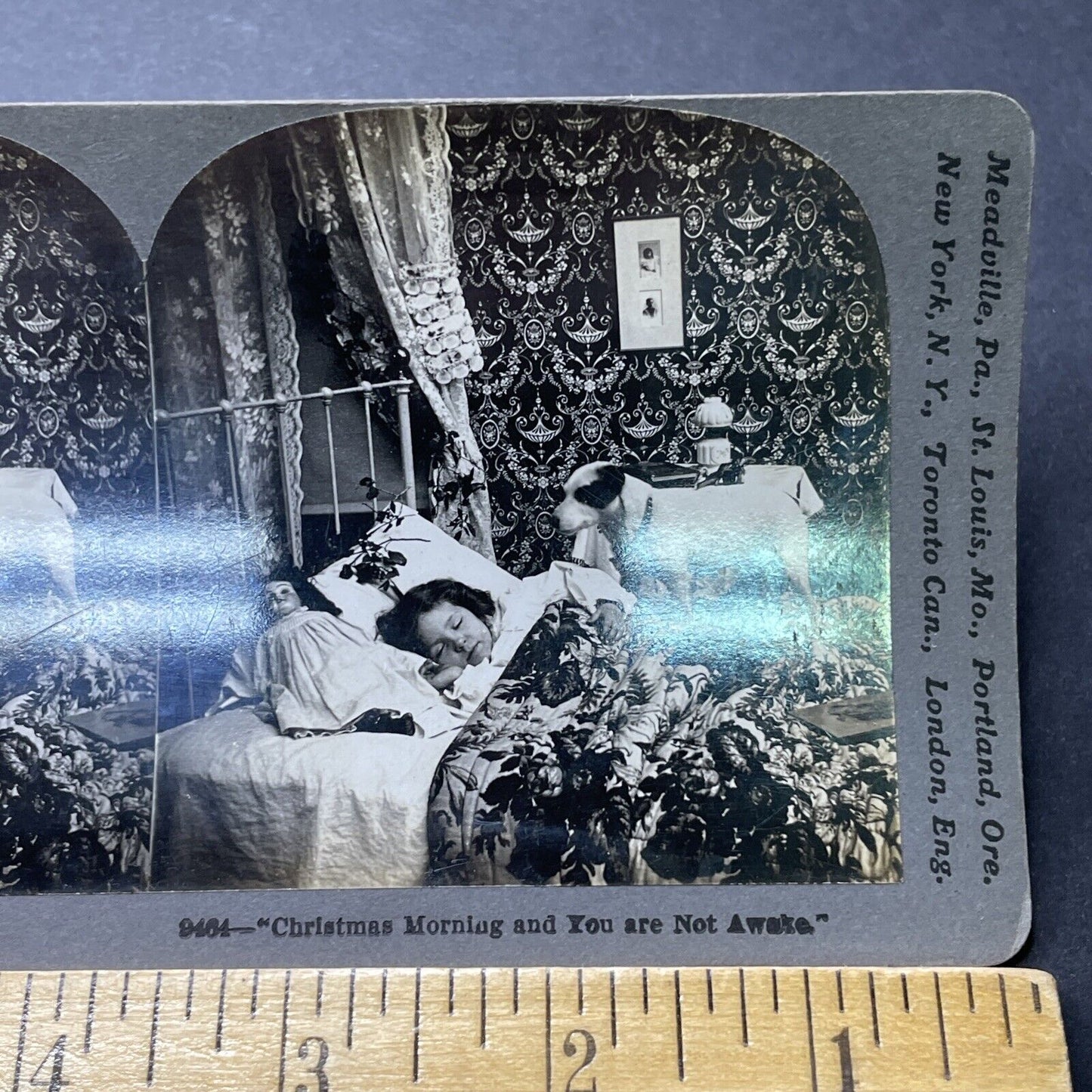 Antique 1899 Small Dog Wakes Sleeping Child Stereoview Photo Card P2294