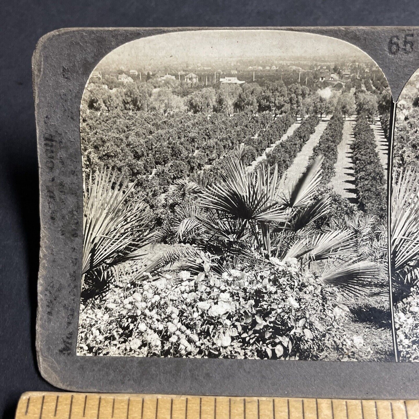 Antique 1909 Smiley Heights Redlands California Stereoview Photo Card P4348