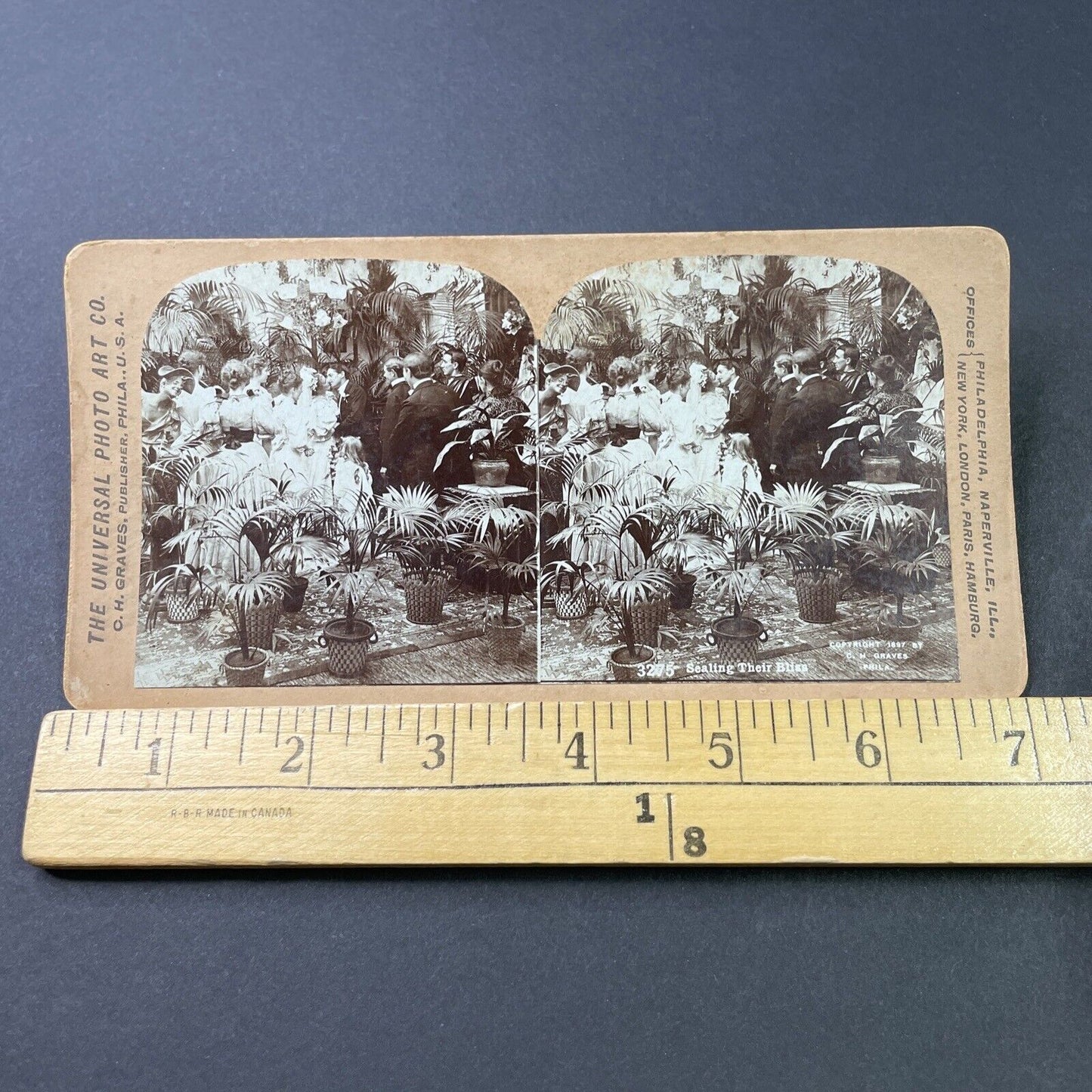 Antique 1897 Bride And Groom Victorian Wedding Kiss Stereoview Photo Card P2927