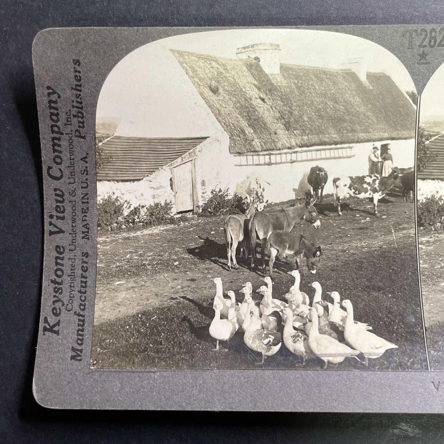 Antique 1918 Small Farm County Kerry Ireland Stereoview Photo Card P1365