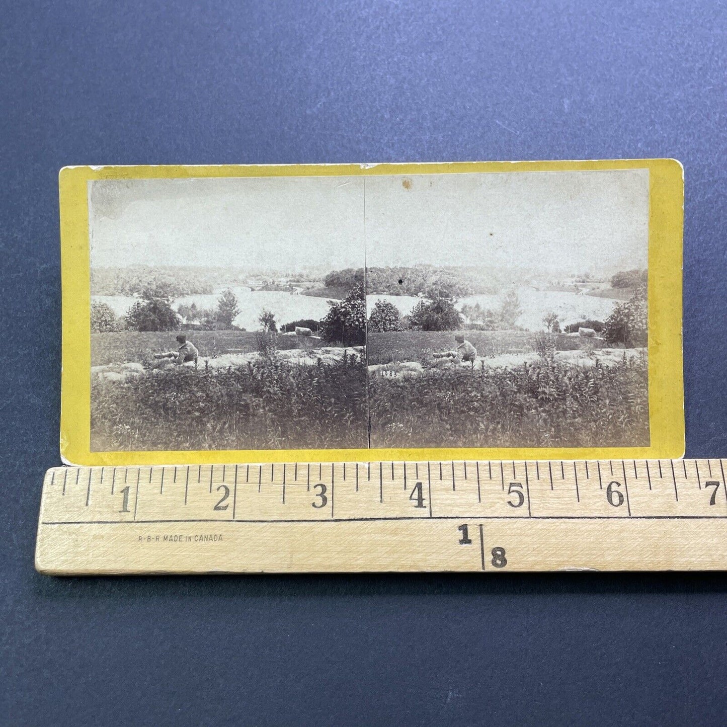 Antique 1863 Central Park Manhattan New York City Stereoview Photo Card V3419