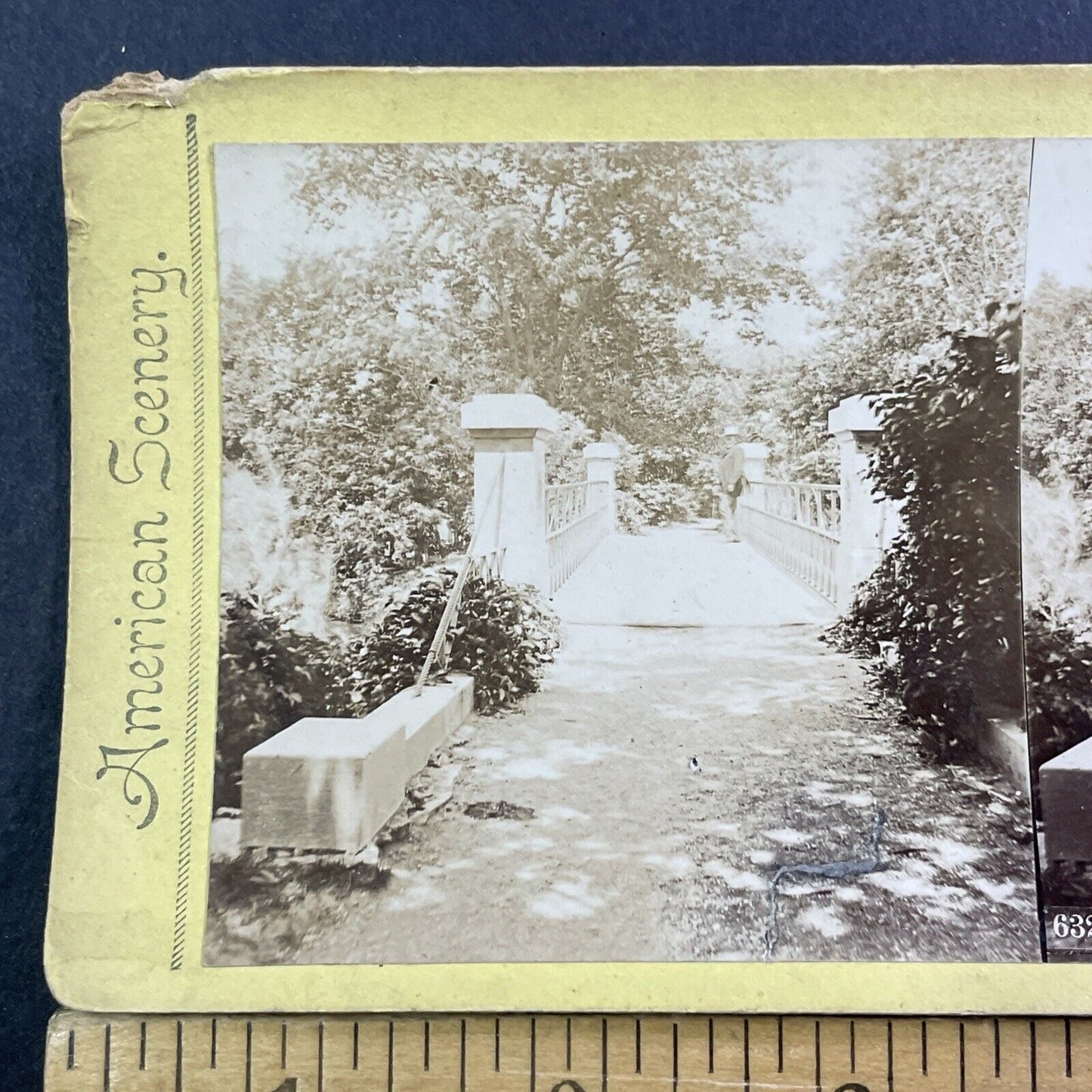 Garfield Park Bridge Stereoview Chicago Conservatory Photo Antique c1875 X1312