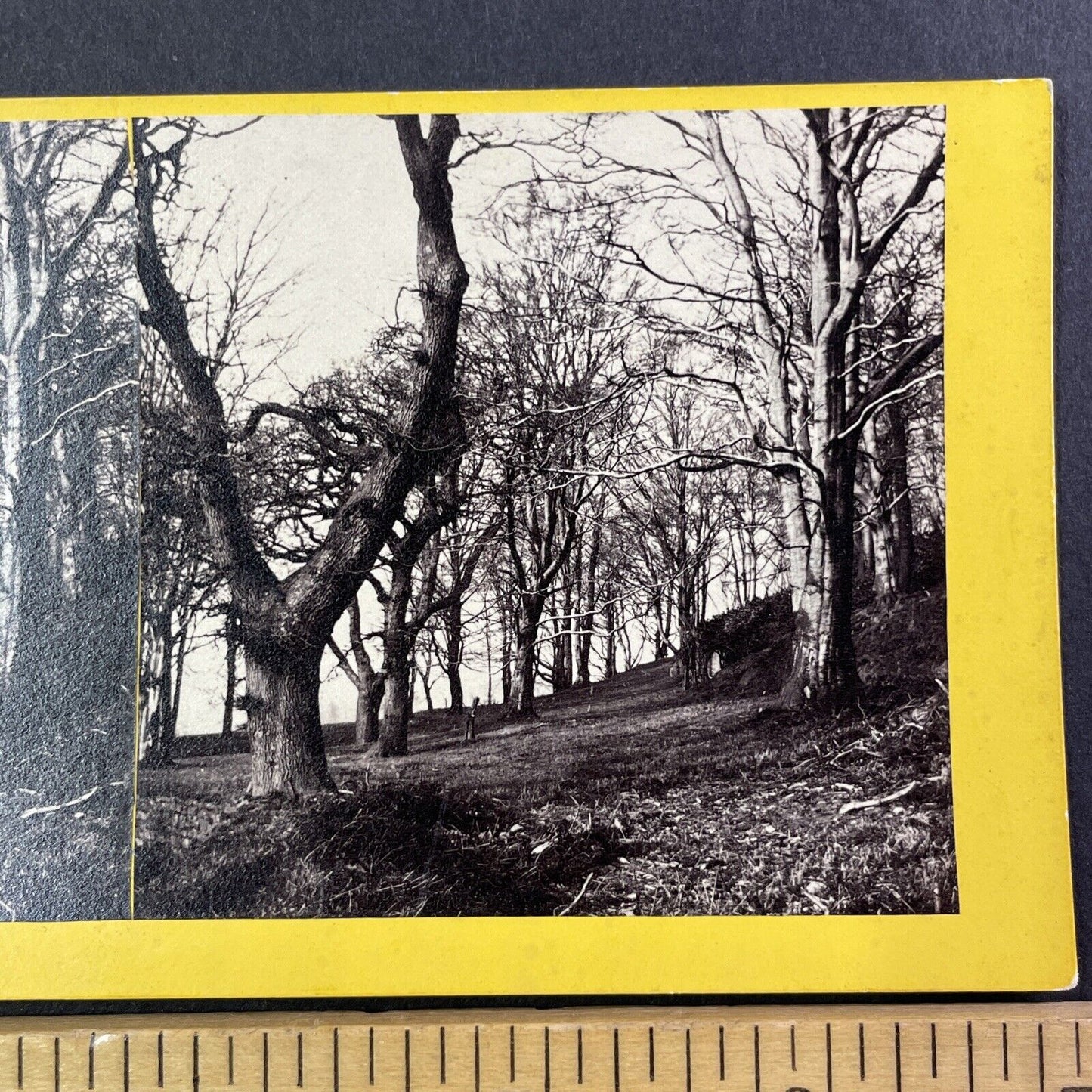 Horton Bay Michigan Stereoview Clearing Brush For A Summer Home c1868 Y535