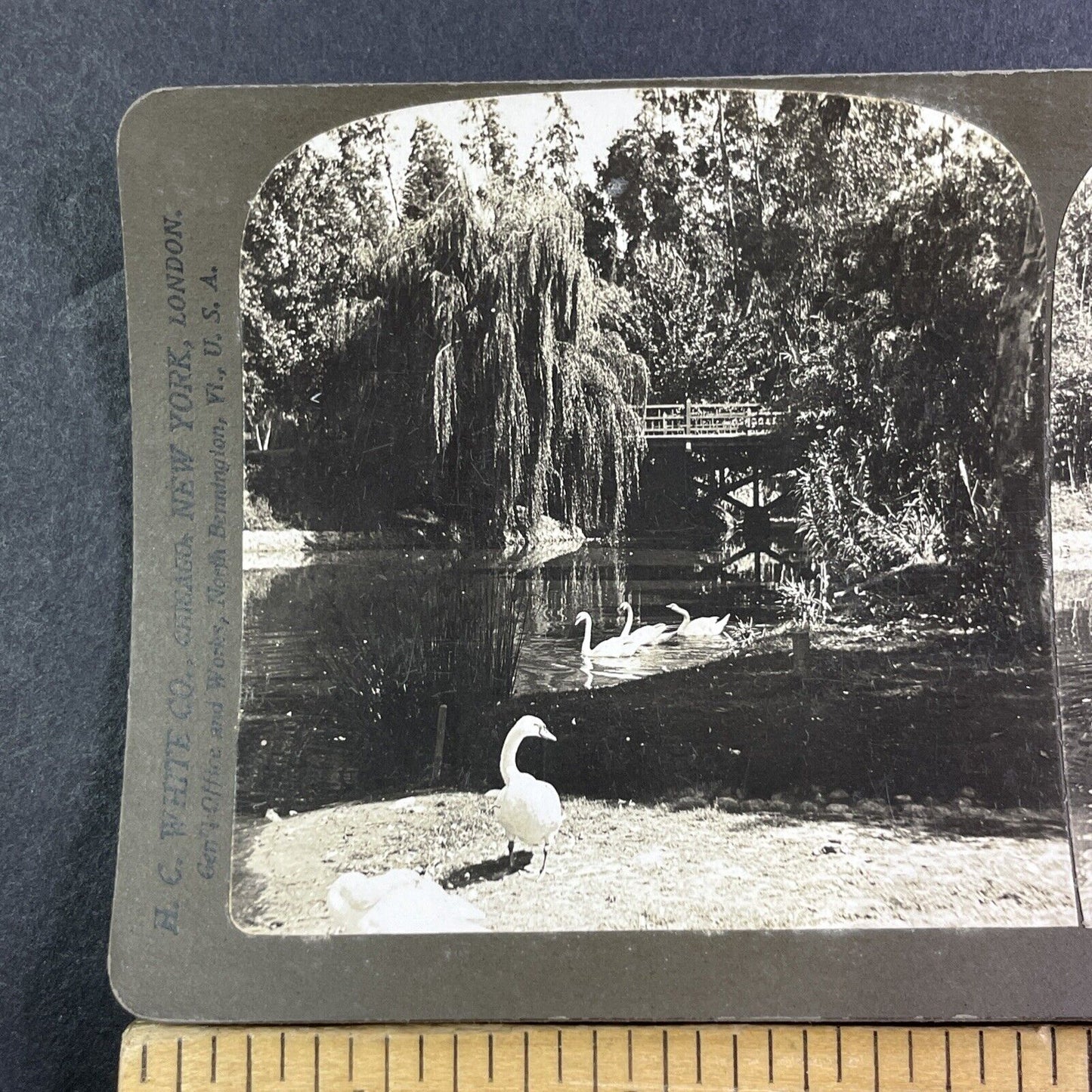 Los Angeles California Eastlake Park Lake Stereoview Antique c1906 X1598