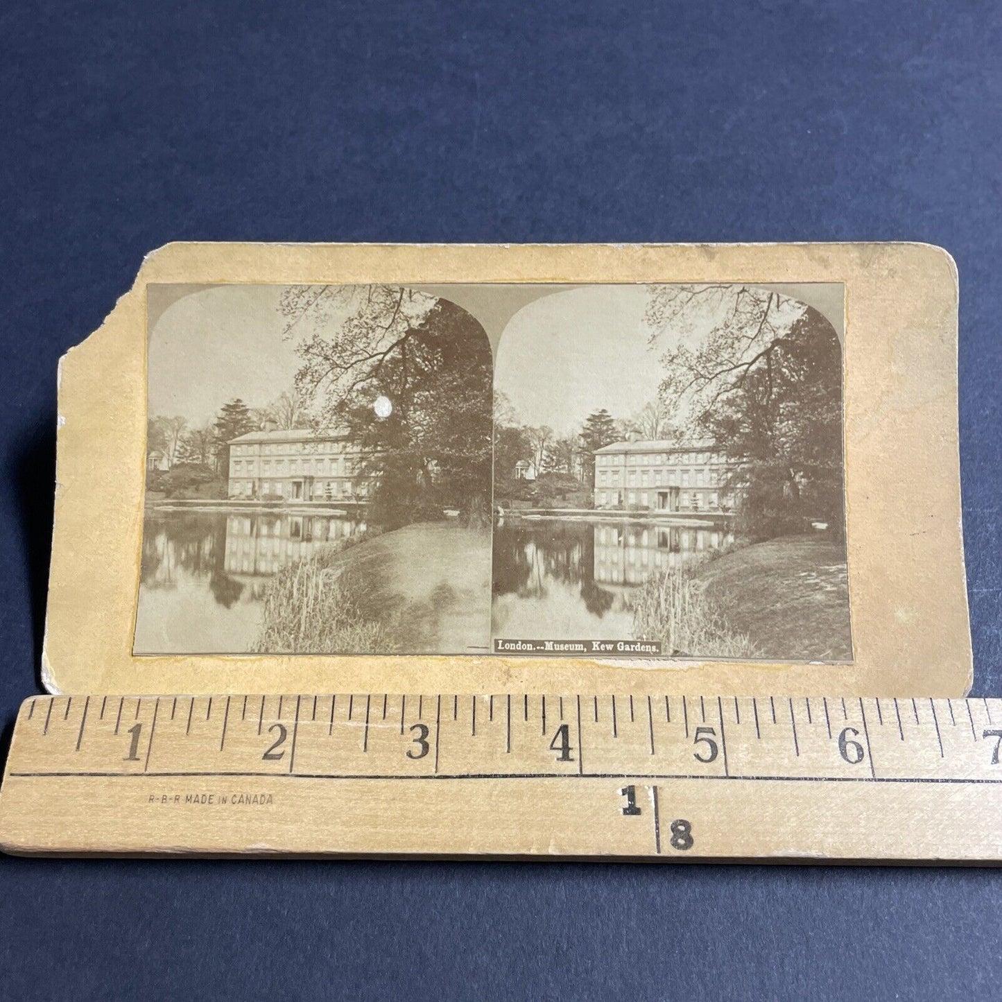 Antique 1870s London Museum In Kew Gardens Stereoview Photo Card P4550